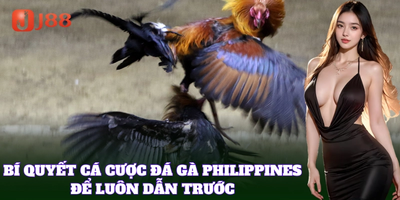Mẹo đặt cược chính xác với Đá Gà Philippines